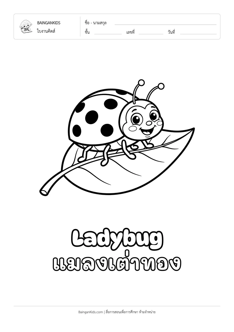ระบายสี แมลงเต่าทอง (Ladybug) ตัวอย่างหน้าที่ 1