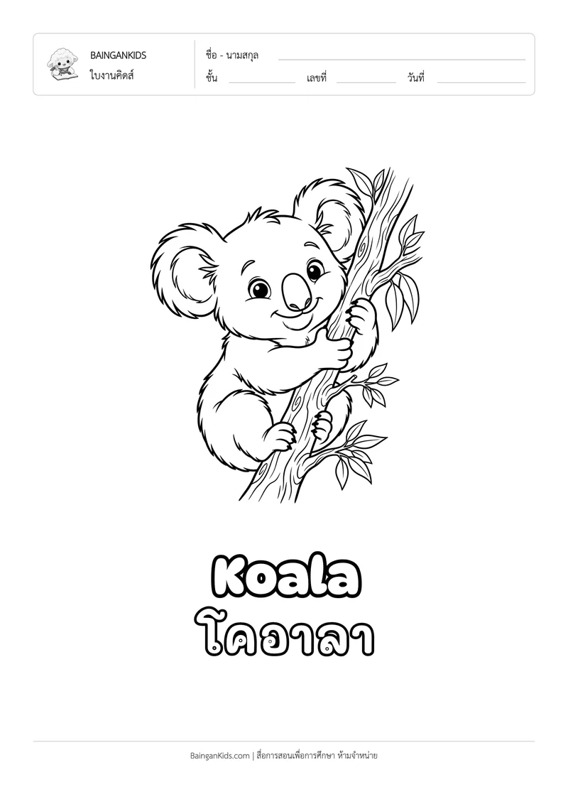 ระบายสี โคอาลา (Koala) ตัวอย่างหน้าที่ 1